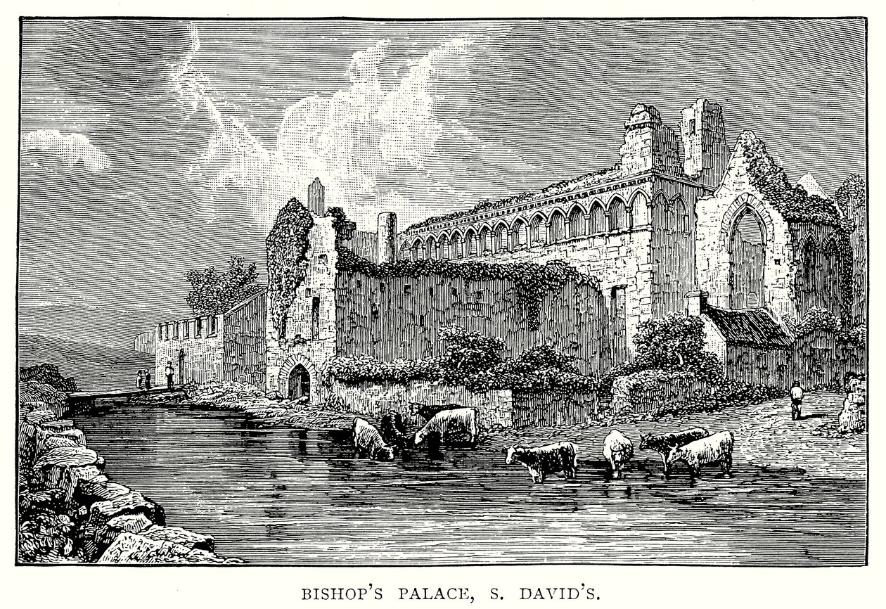 Bischofspalast, St. David