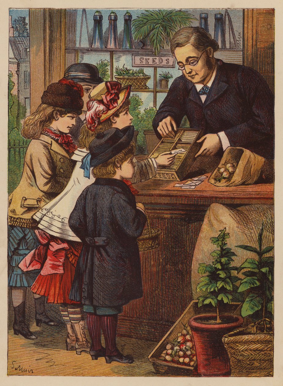 Der Kauf der Samen von English School