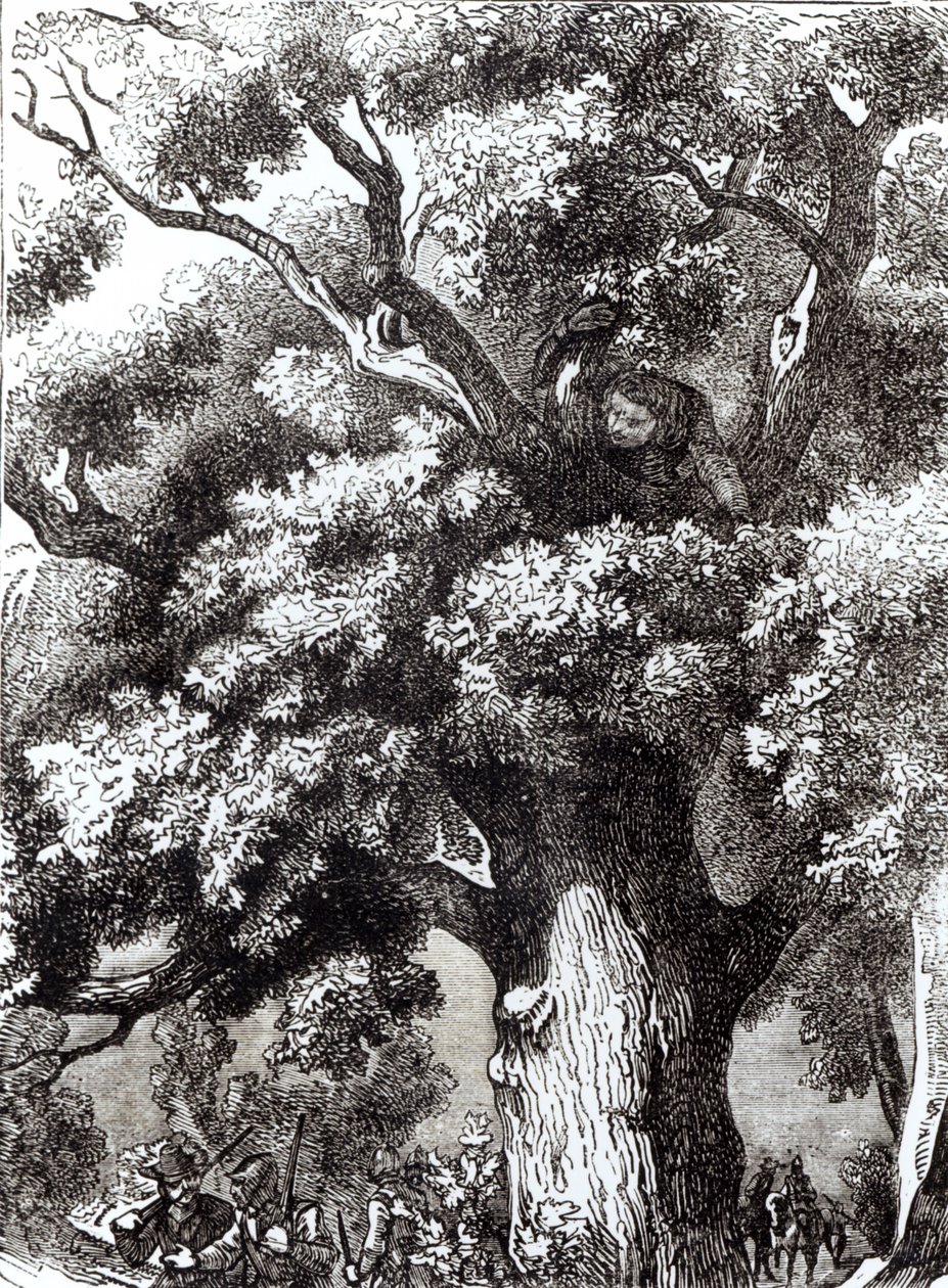 Karl II. (1630-85) versteckt sich im Eichenbaum, 14. Oktober 1651 von English School