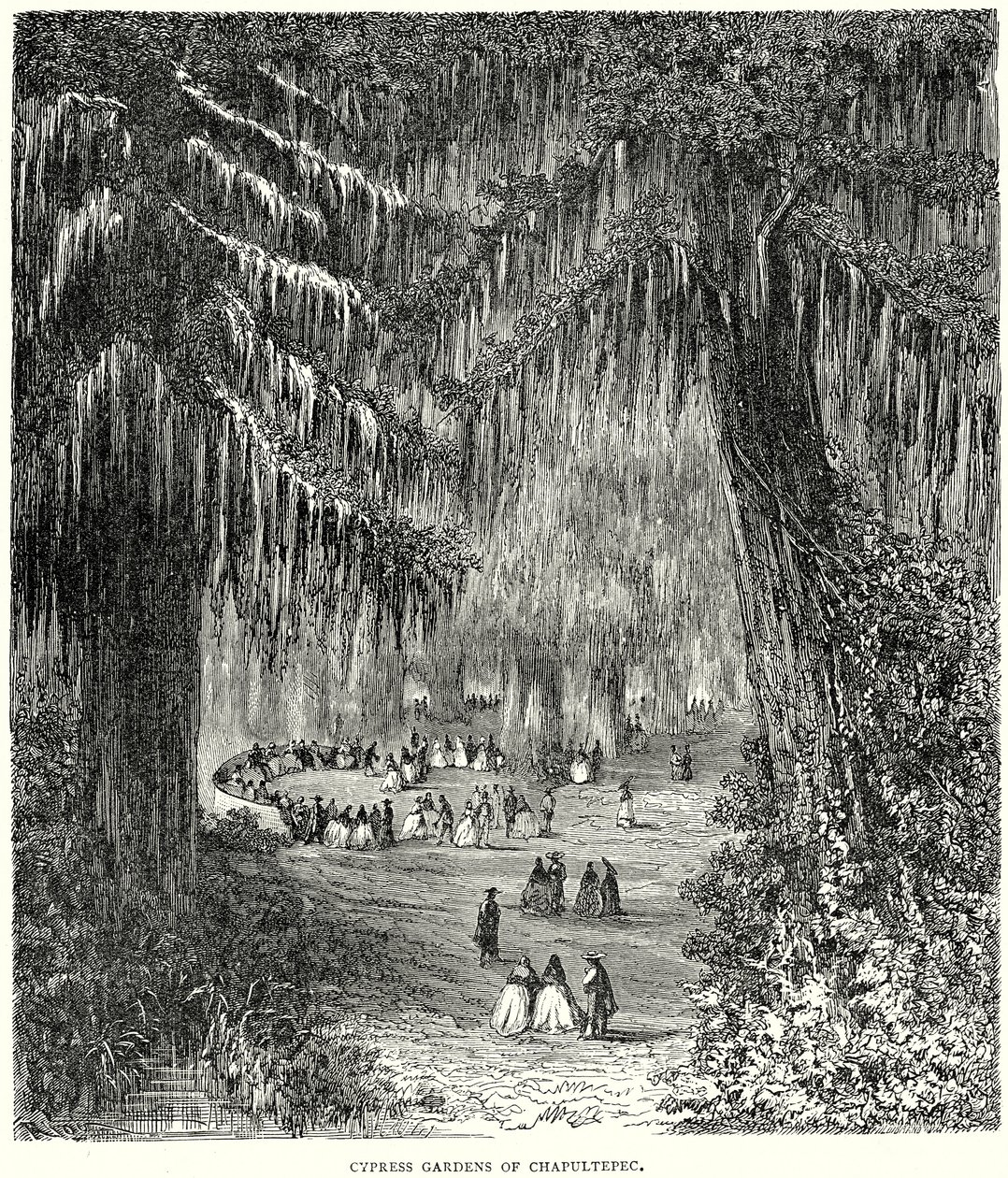 Zypressengärten von Chapultepec (Gravur) von English School