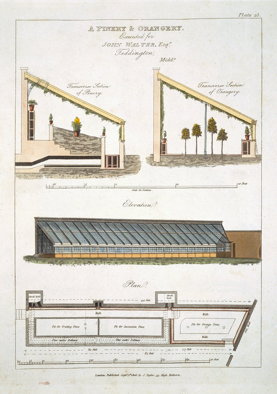 Entwurf für ein Ananas- und Orangeriehaus in Teddington, 1806 von English School