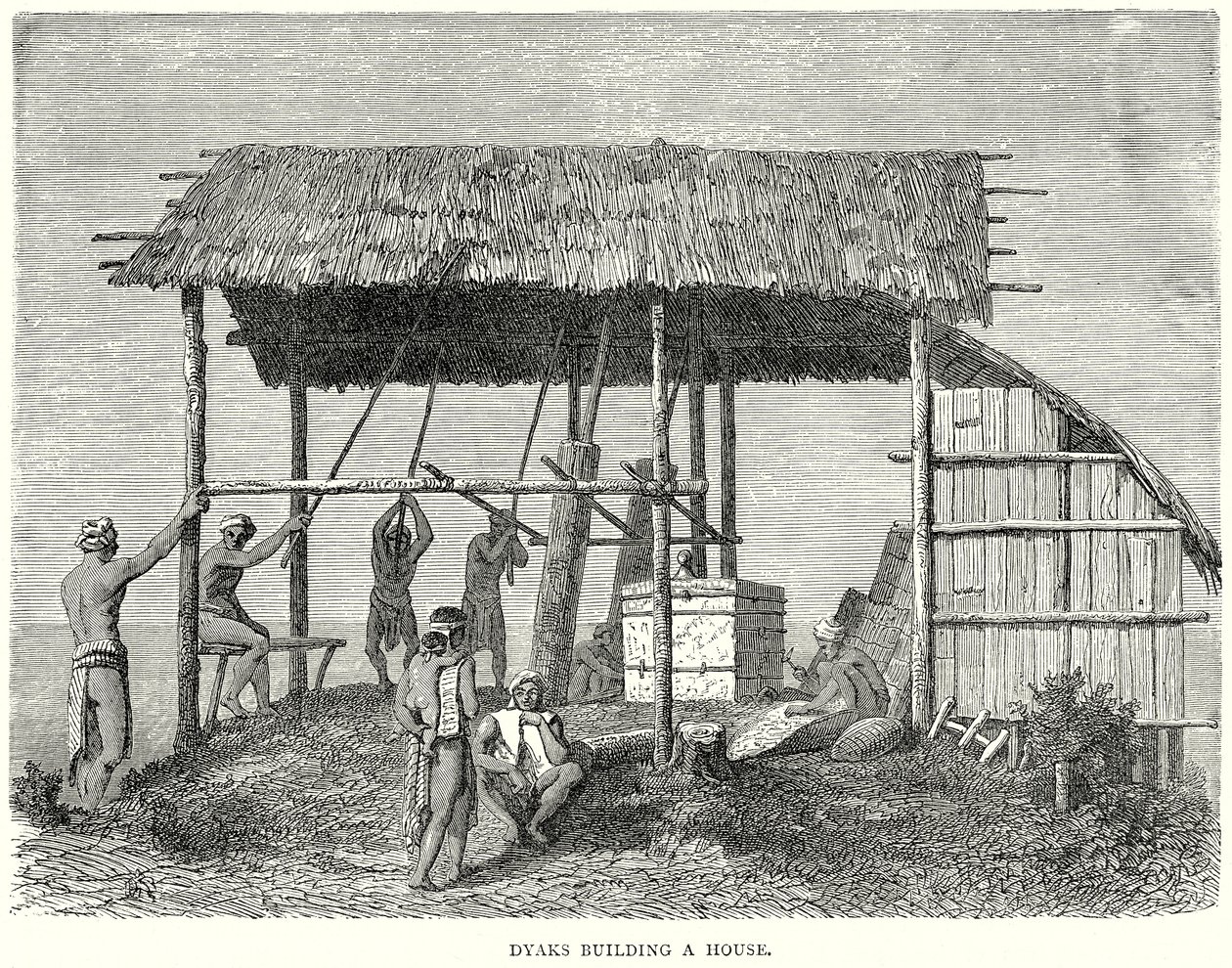 Dyaks bauen ein Haus von English School