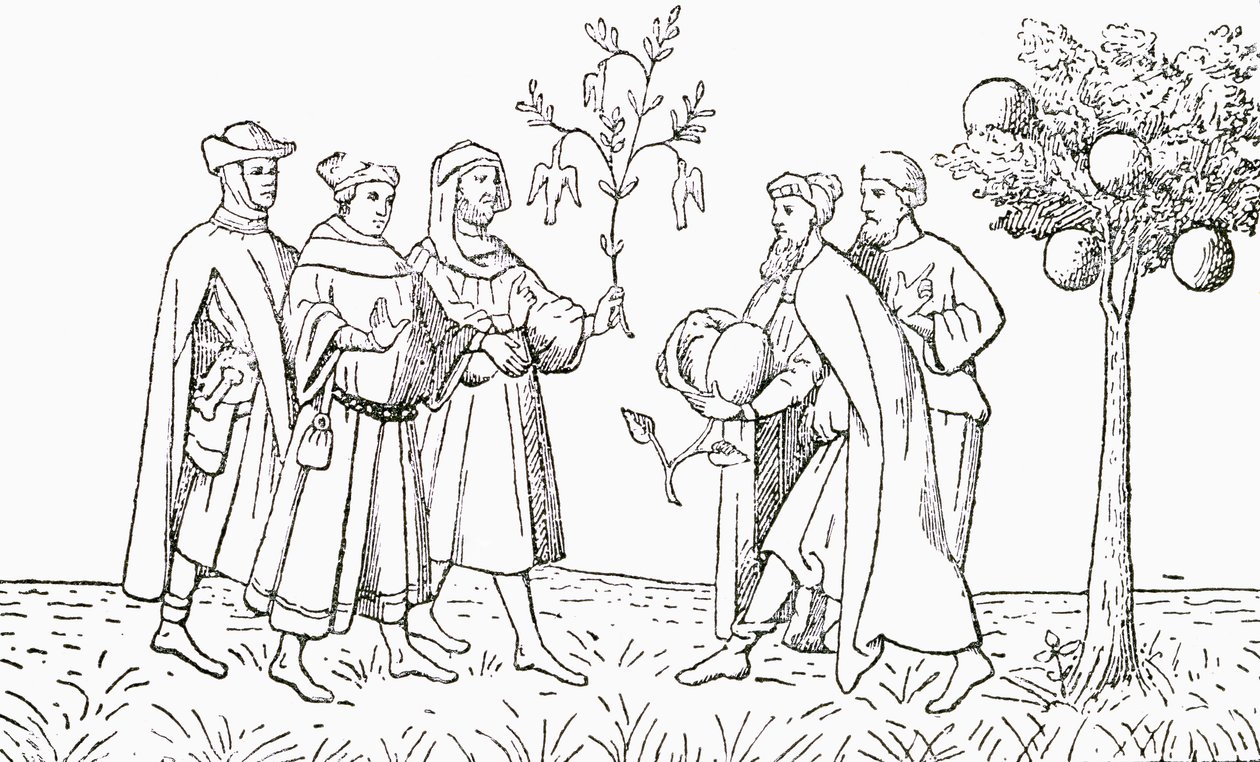 Bruder Oderic von Pordenone hält einen Ast von einem Baum, auf dem Vögel wachsen, gezeigt vom örtlichen König, der Lammbaum von Tartary, zeigt ein Lamm, das herauskommt, Illustration aus The Strand Magazine von English School