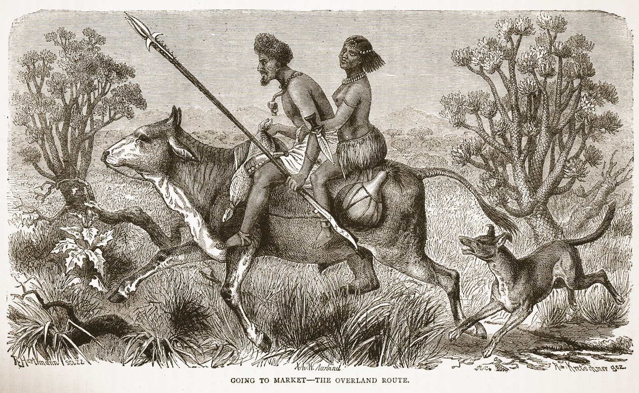 Auf dem Weg zum Markt - die Überlandroute, Illustration aus der Bildausgabe des Lebens und der Entdeckungen von David Livingstone von J. Ewing Richie, veröffentlicht von A. Fullarton & Co., 1876 von English School