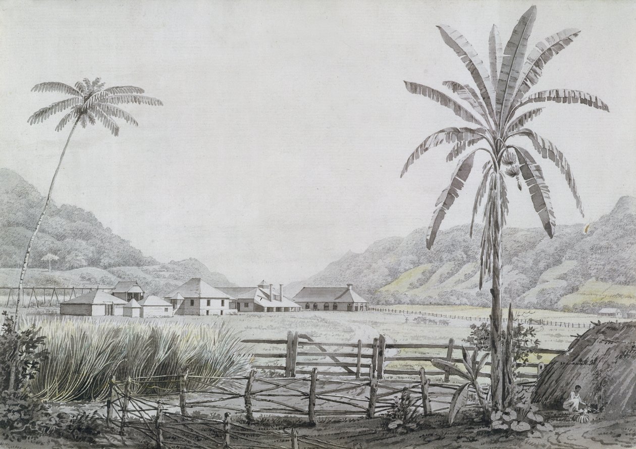 Halse Hall, Jamaika, um 1780 von English School