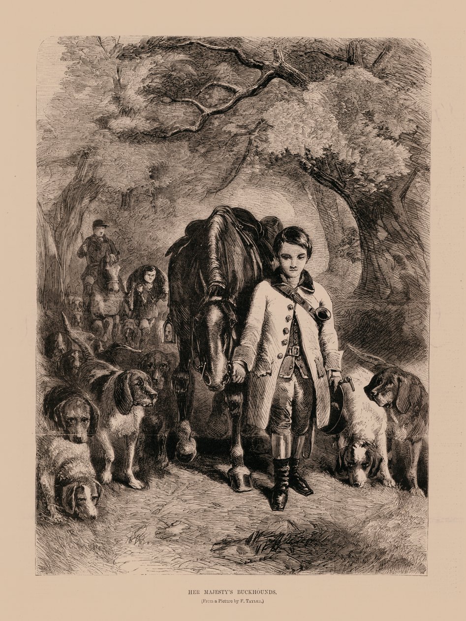 Die königlichen Jagdhunde Ihrer Majestät (Gravur) von English School
