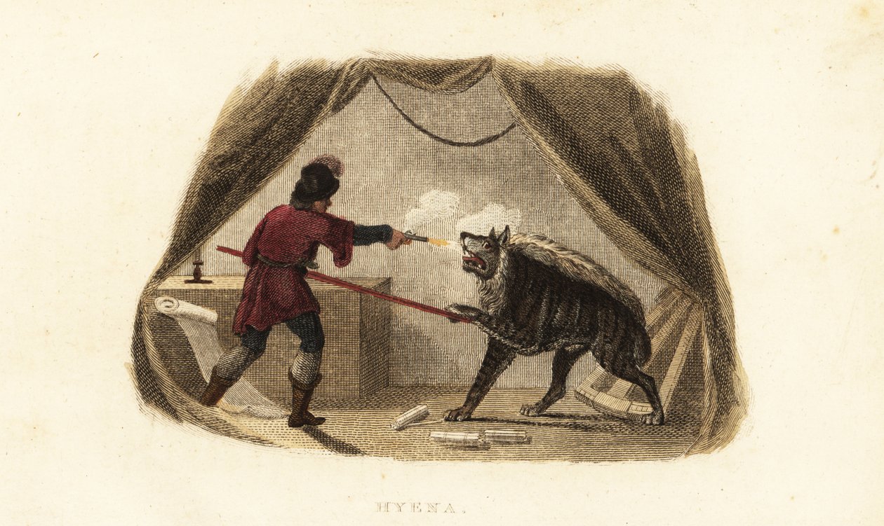 James Bruce tötet eine Hyäne mit Pistole und Pike in seinem Zelt in Maitsha, Abessinien (nahe Gondar, Äthiopien) von English School