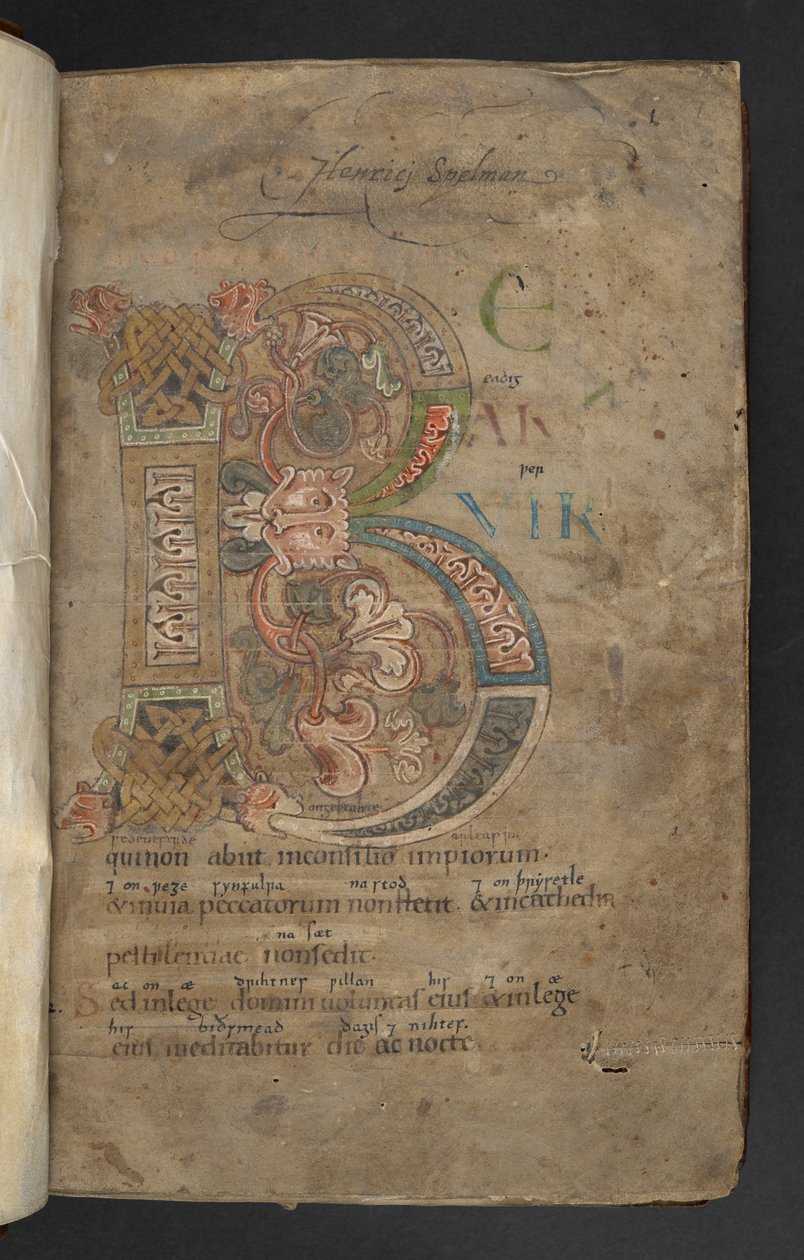Großer Initial mit Tierkopf-Endstücken, Flechtwerk und Blattdekoration in Rosa, Orange, Gelb, Grün und Blau von English School