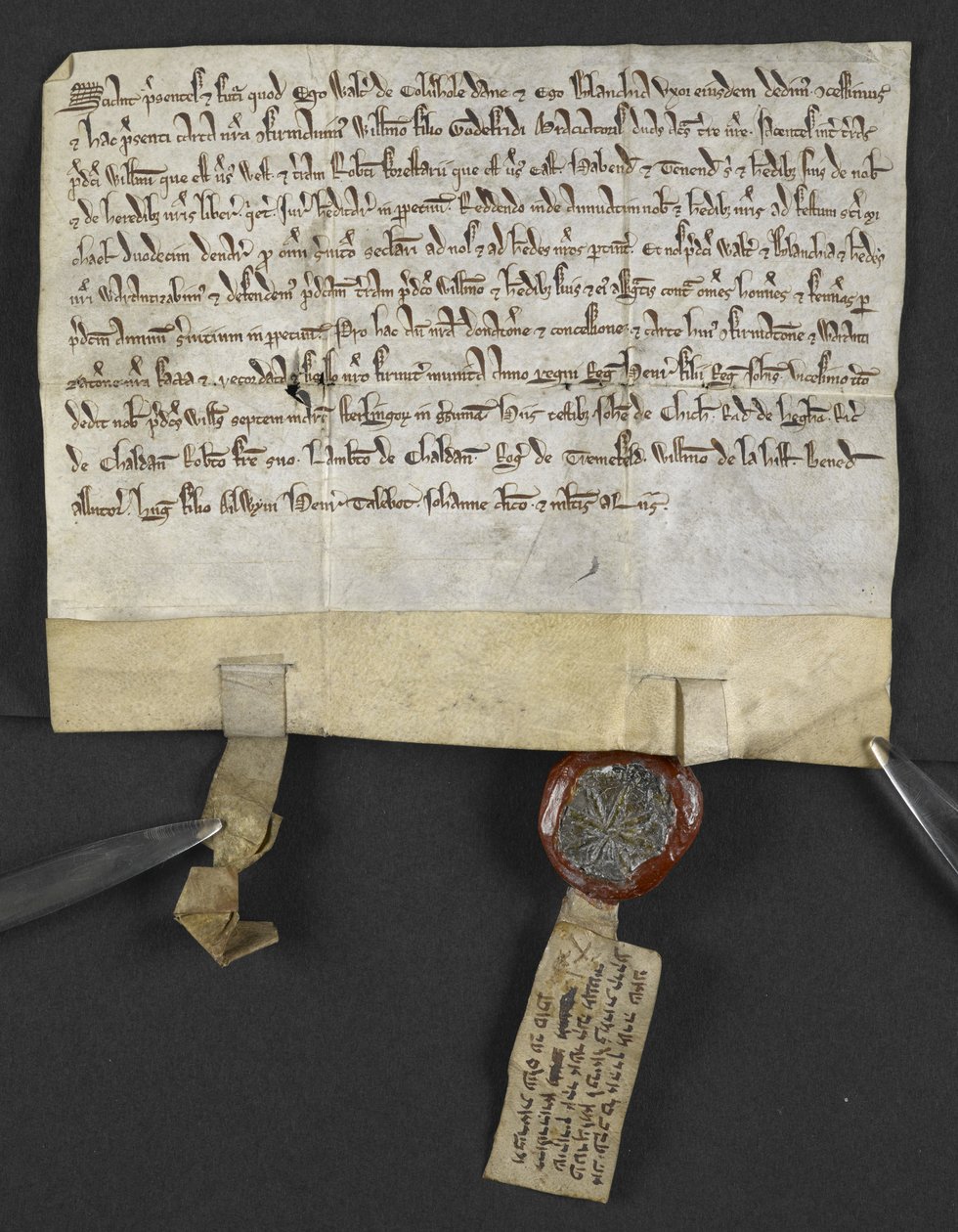 Lateinische Urkunde mit hebräischem Verzichtserklärung, von Jacob ben Aaron von English School