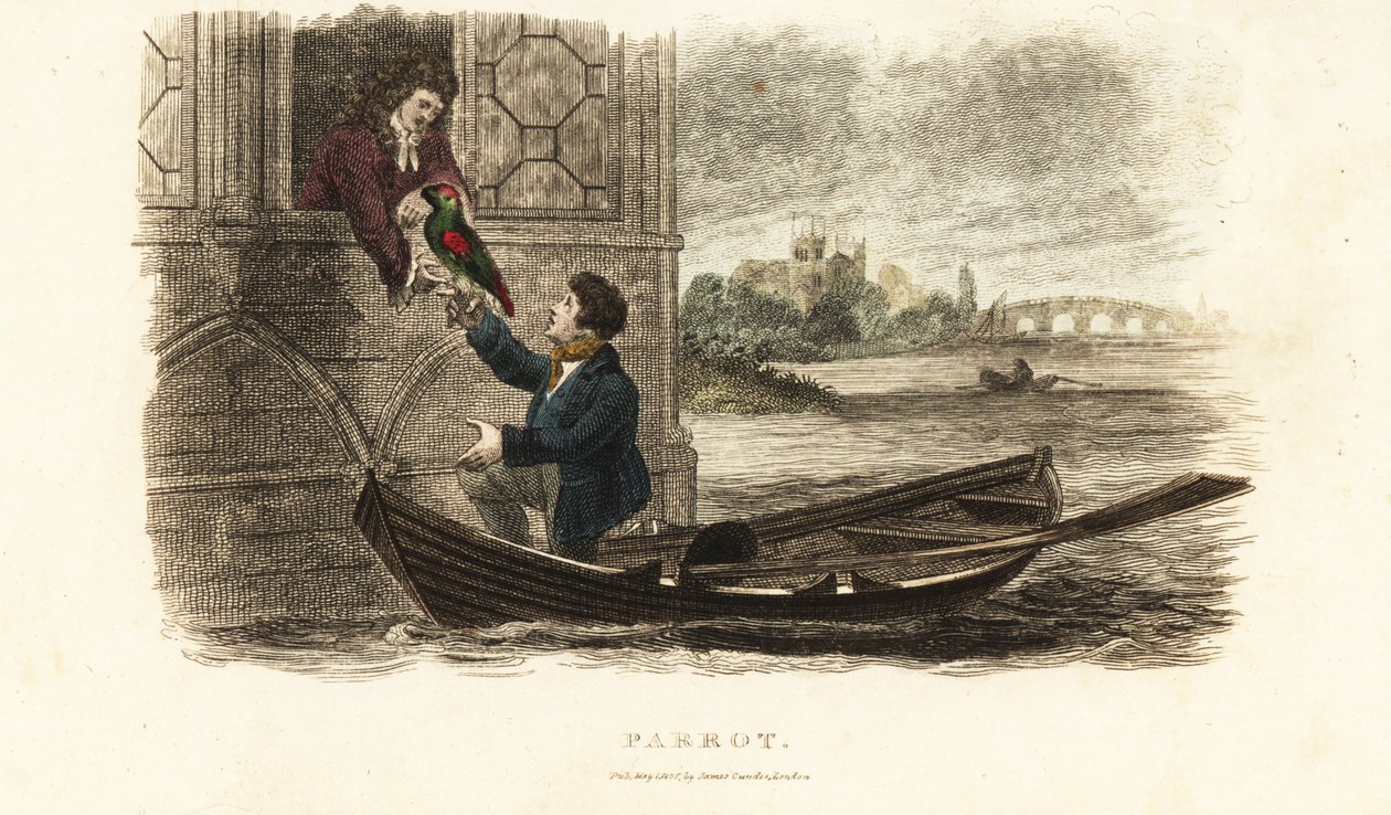 Londoner Bootsmann rettet einen sprechenden Papagei von König Heinrich VIII. von England von English School