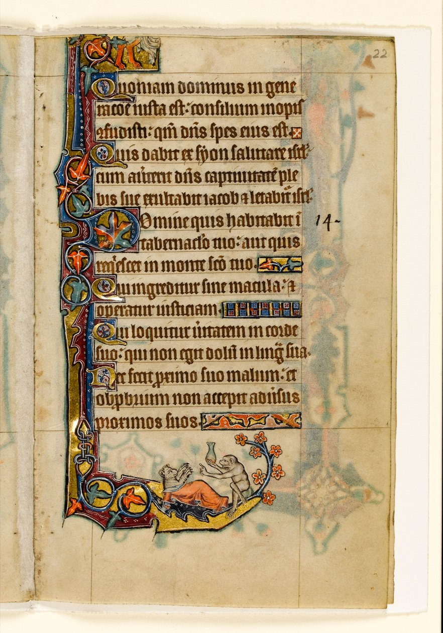 MS 1-2005, fol. 22r: Der Affenarzt und sein Bärenpatient, Randdekoration aus dem Macclesfield Psalter, Use of Sarum, Ostanglien, um 1330 von English School
