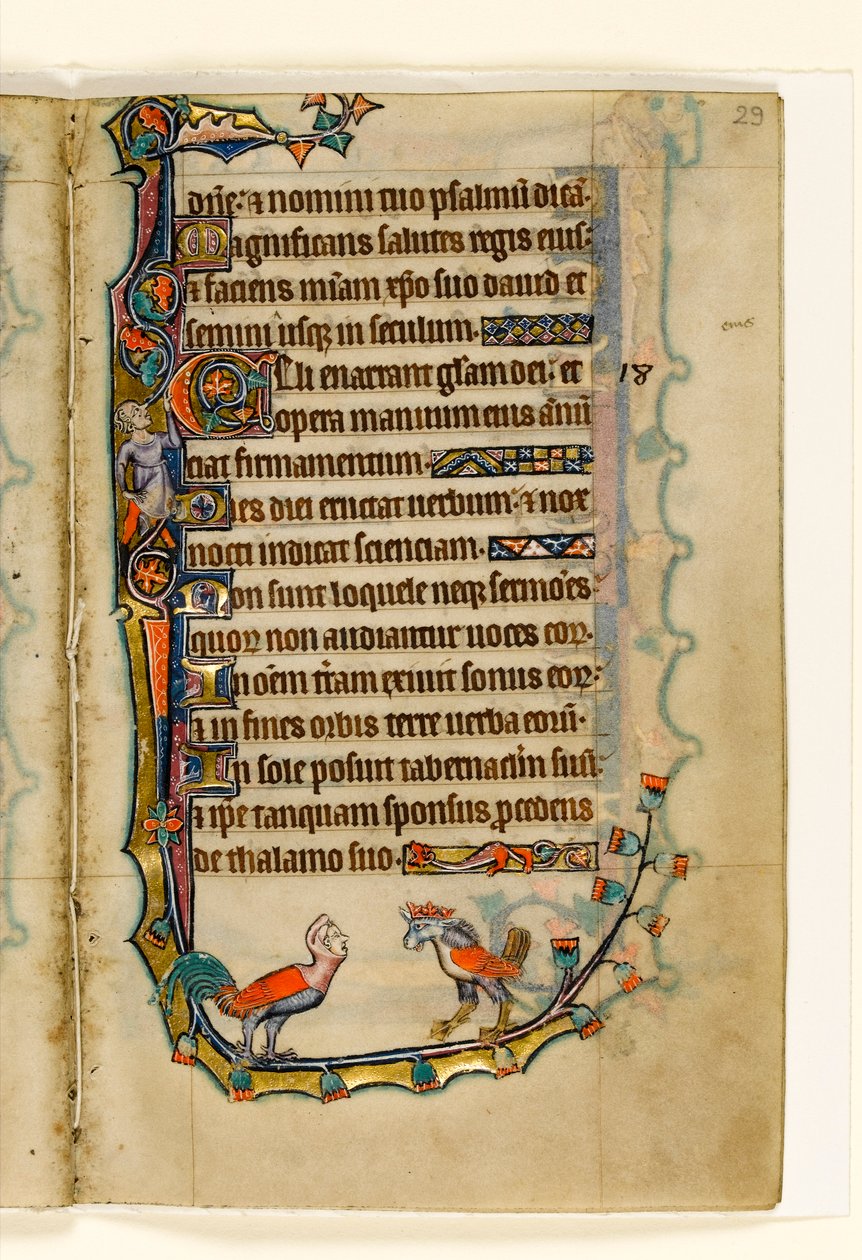 MS 1-2005, fol. 29r: Zwei vogelähnliche Grotesken, Randdekoration aus dem Macclesfield Psalter, Use of Sarum, Ostanglien, um 1330 von English School