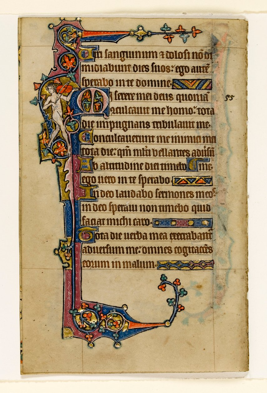 MS 1-2005, fol. 80v: Ein nackter Musiker, Randdekoration aus dem Macclesfield Psalter, Use of Sarum, Ostanglien, um 1330 von English School