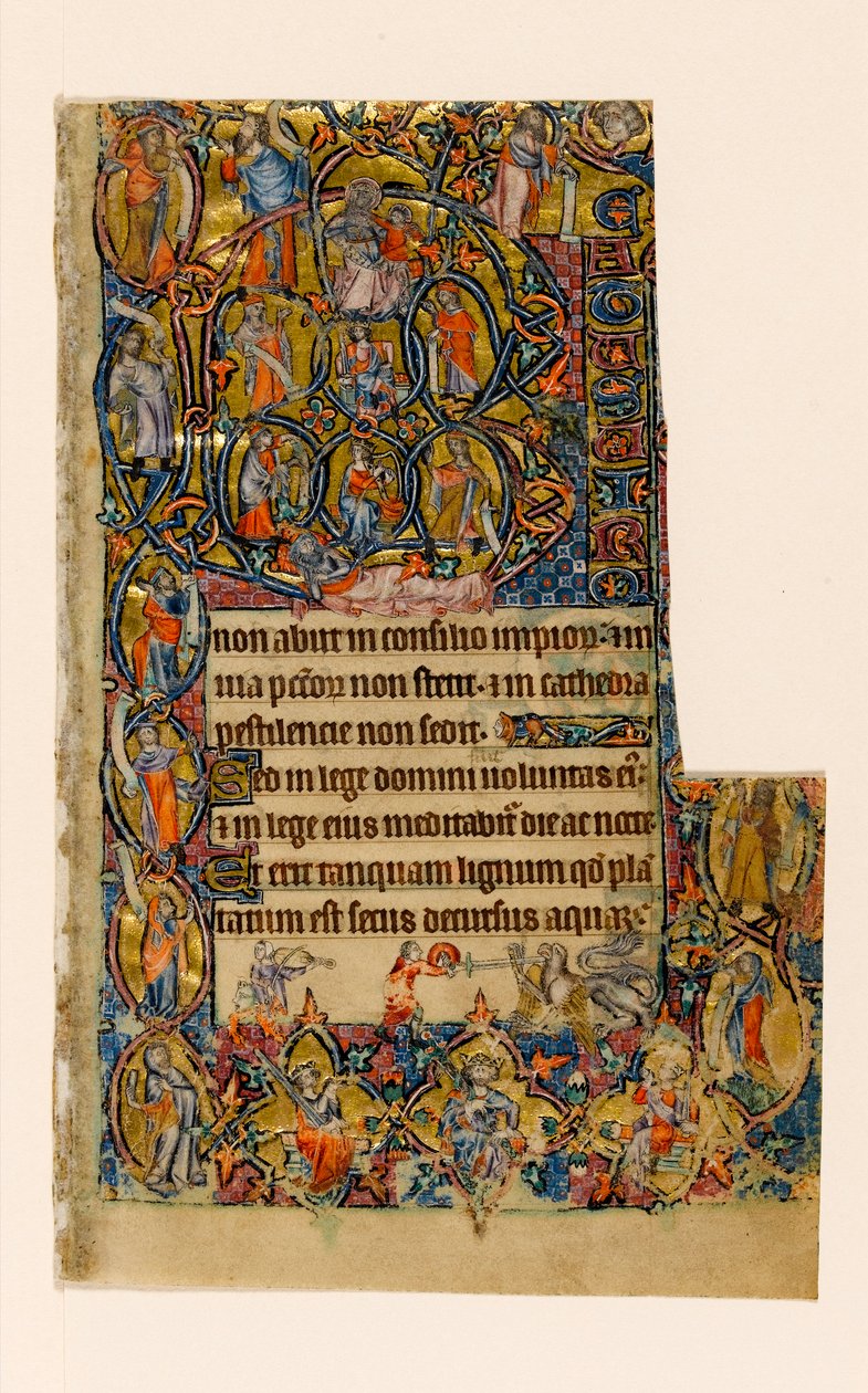 MS 1-2005, fol. 9r: Der Baum Jesse und die Beatus-Initiale mit Musiker und groteskem Kampf, aus dem Macclesfield Psalter, Use of Sarum, Ostanglien, um 1330 von English School