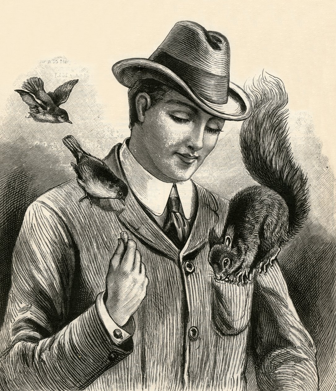 Mann, der ein Eichhörnchen und Vögel füttert von English School