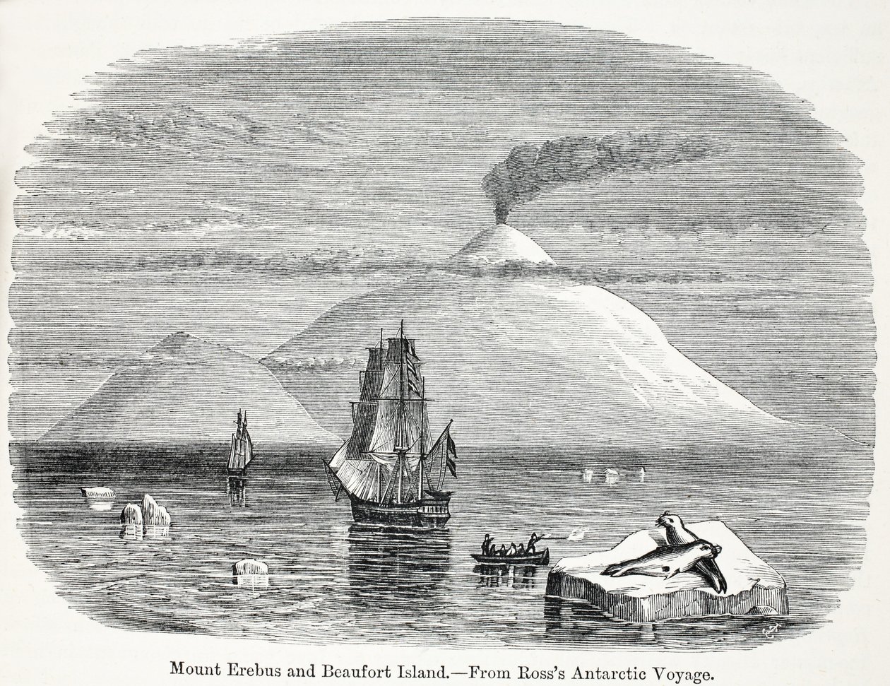 Mount Erebus und Beaufort Island aus Rosss Antarktisreise von English School