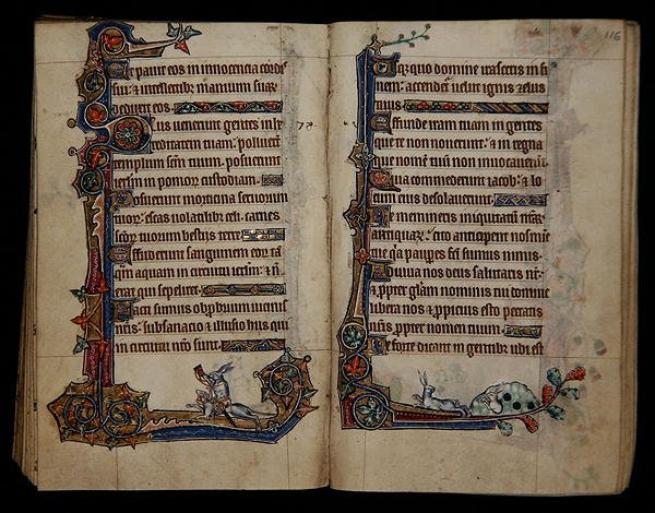 Ms 1-2005, ff.115v-116r: Kaninchenjagd auf einem Hund reitend, Randdekoration aus dem Macclesfield Psalter, Gebrauch von Sarum, Ostanglien, ca. 1330 von English School