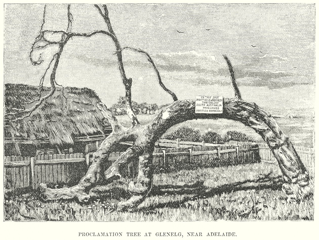 Proklamationsbaum in Glenelg, nahe Adelaide von English School