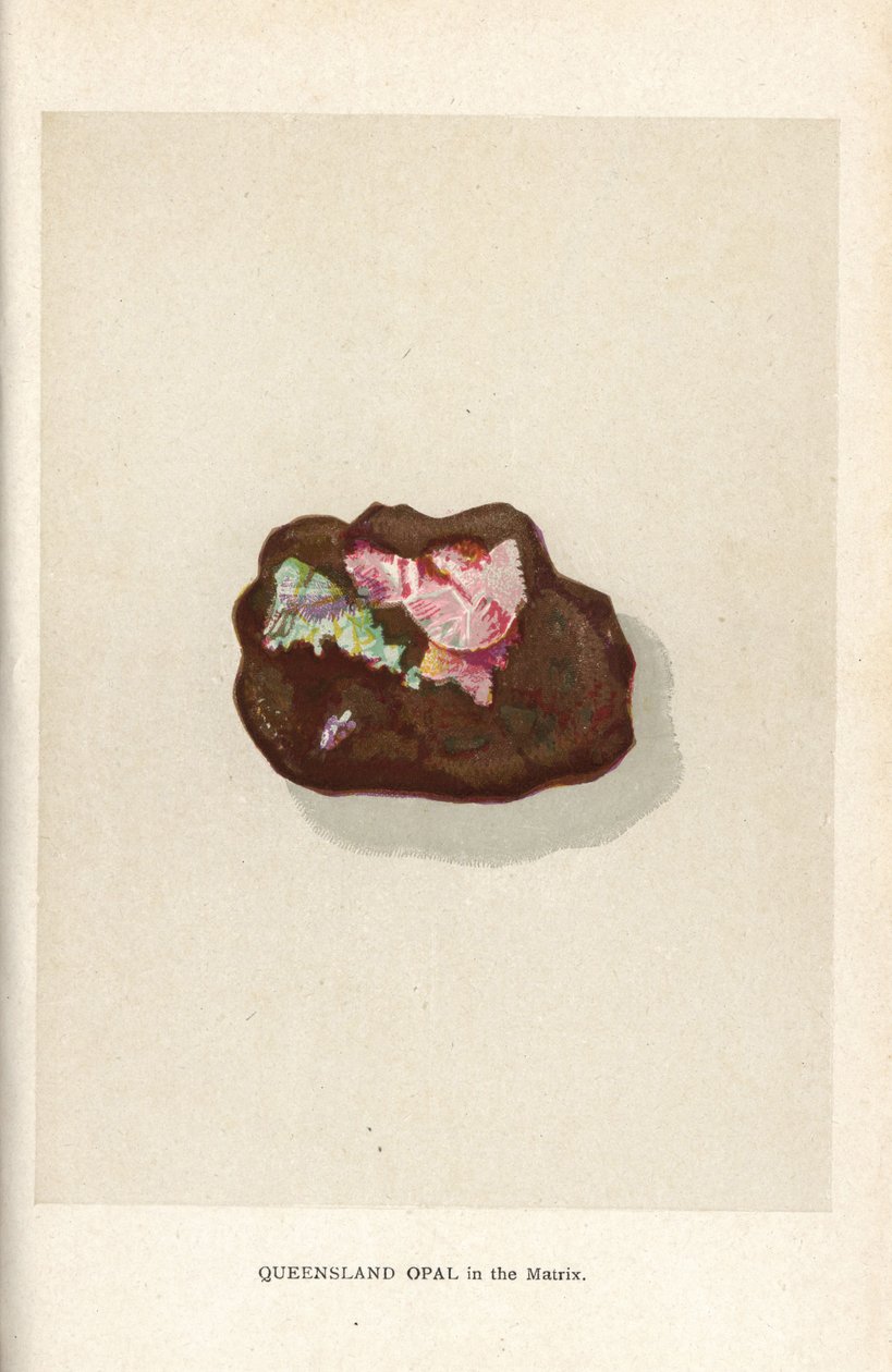 Queensland-Opal in der Matrix, aus Edwin Streeter