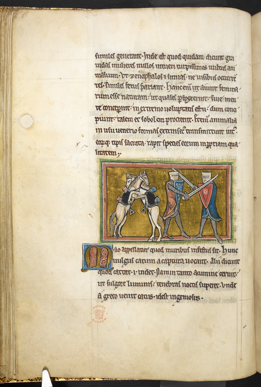 Zwei Ritter kämpfen zu Fuß mit Schwertern, während ihre Pferde auf den Hinterbeinen kämpfen, aus Bestiarium (ff. 3-141), Lapidarium (ff. 141v-149), 2. Viertel des 13. Jahrhunderts von English School