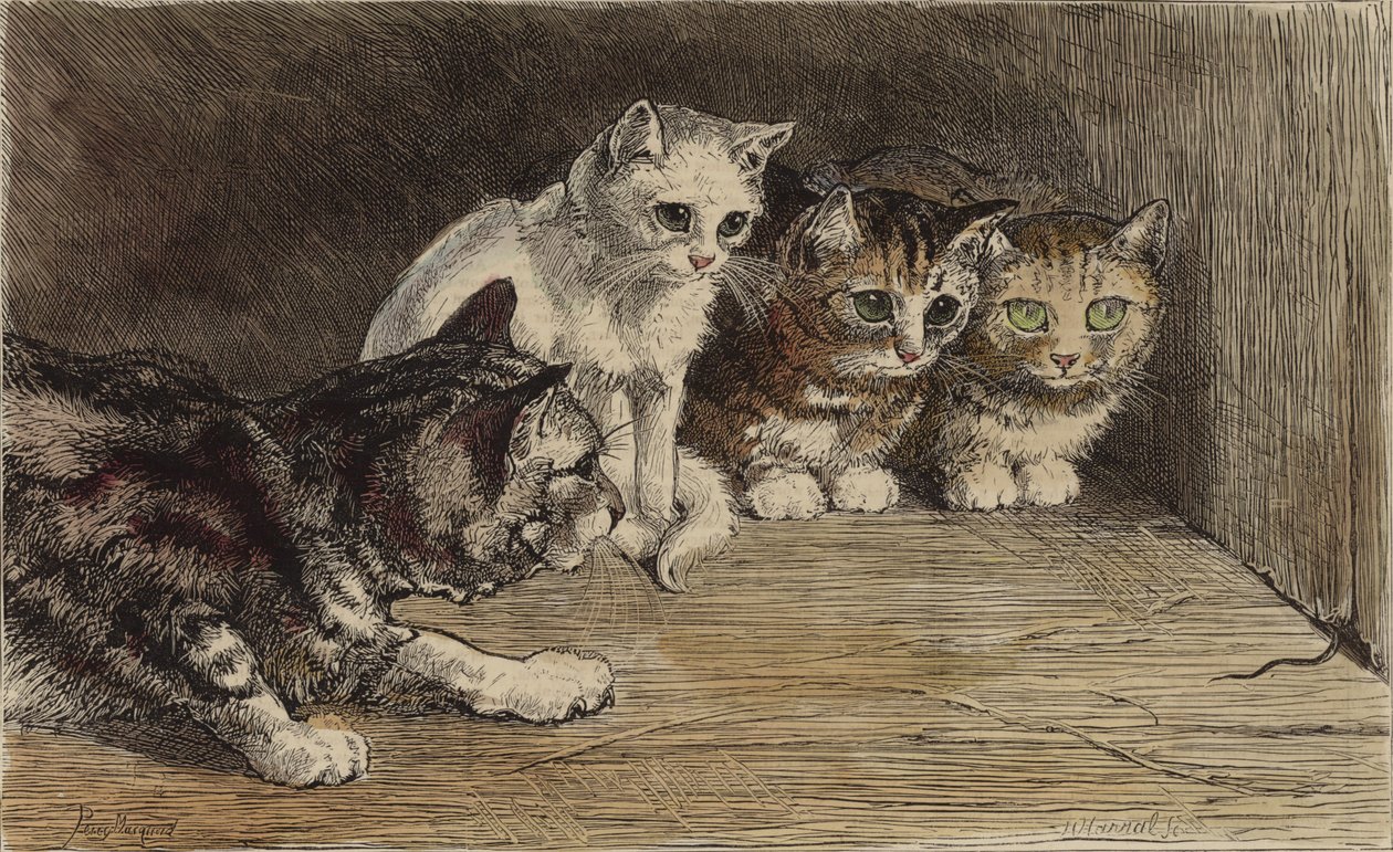 Mehrere Katzen betrachten den Schwanz einer Maus von English School