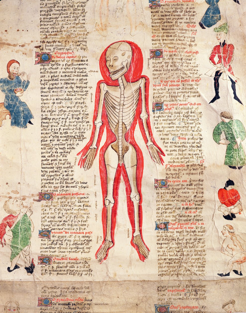 Skelett, aus De arte phisicali e de cirugia von John Ardene, 1412 von English School