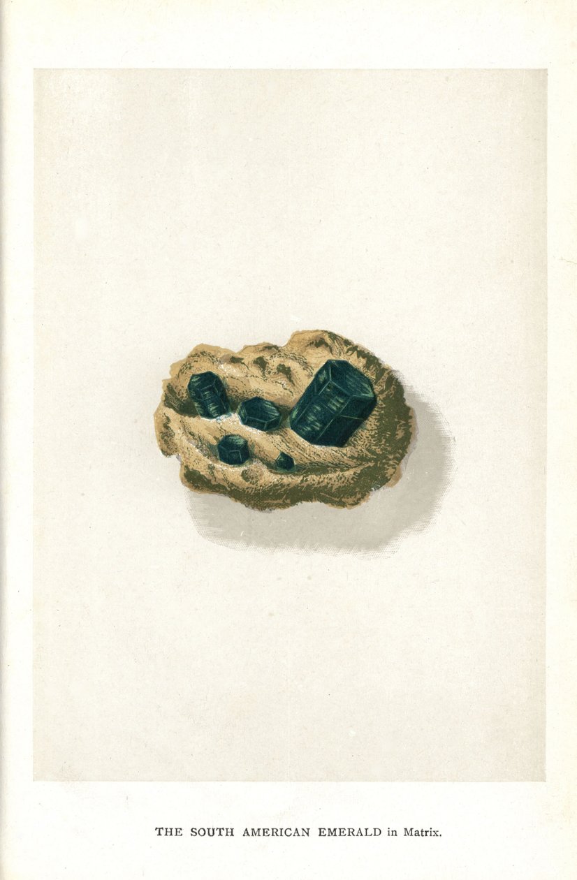 Südamerikanischer Smaragd in Matrix, aus Edwin Streeters "Precious Stones and Gems," London, George Bell & Sons von English School