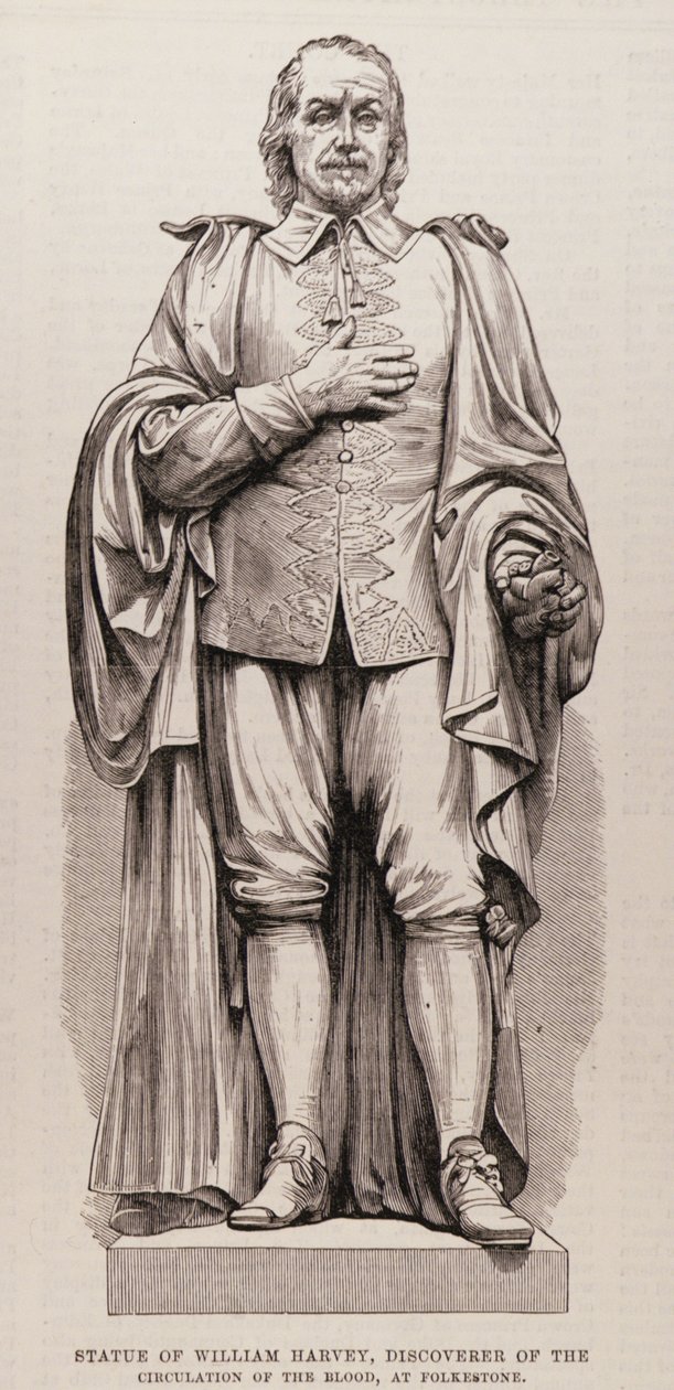 Statue von William Harvey (1578-1657), Entdecker des Blutkreislaufs, in Folkestone, aus The Illustrated London News, 13. August 1881 von English School