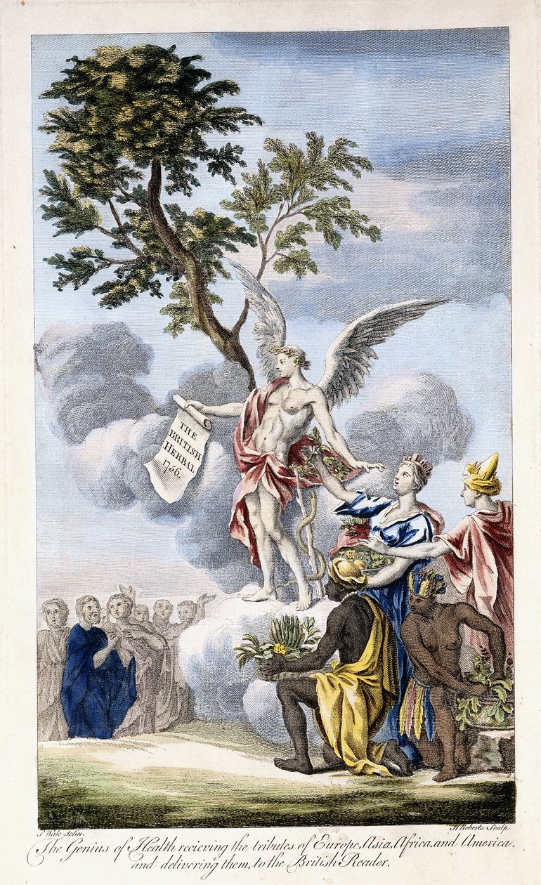 Der Genius der Gesundheit empfängt Europa, Asien, Afrika und Amerika und übergibt sie dem britischen Leser, 1756-1757 von English School