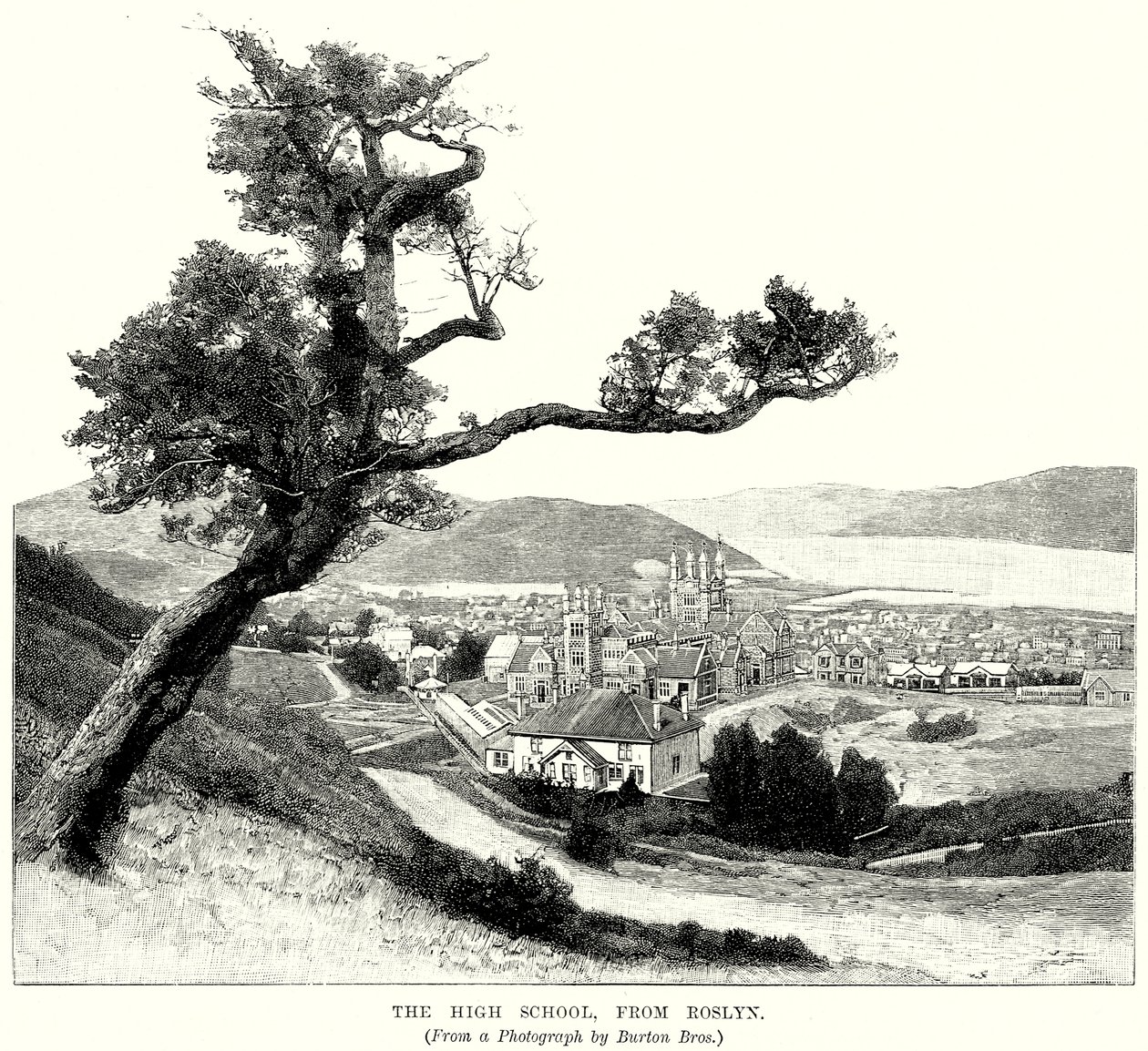 Die High School, von Roslyn von English School