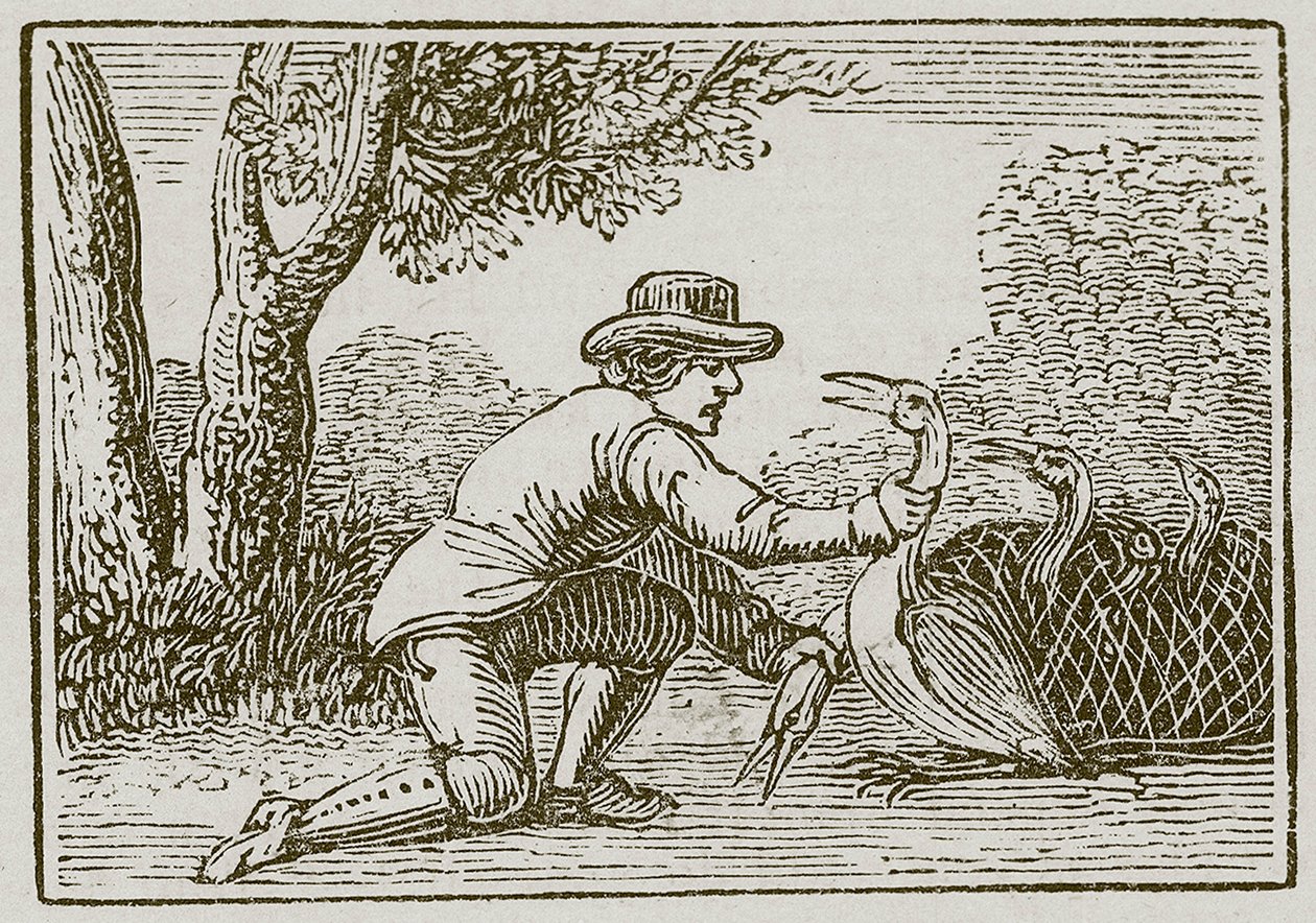 Der Landmann und der Storch von English School