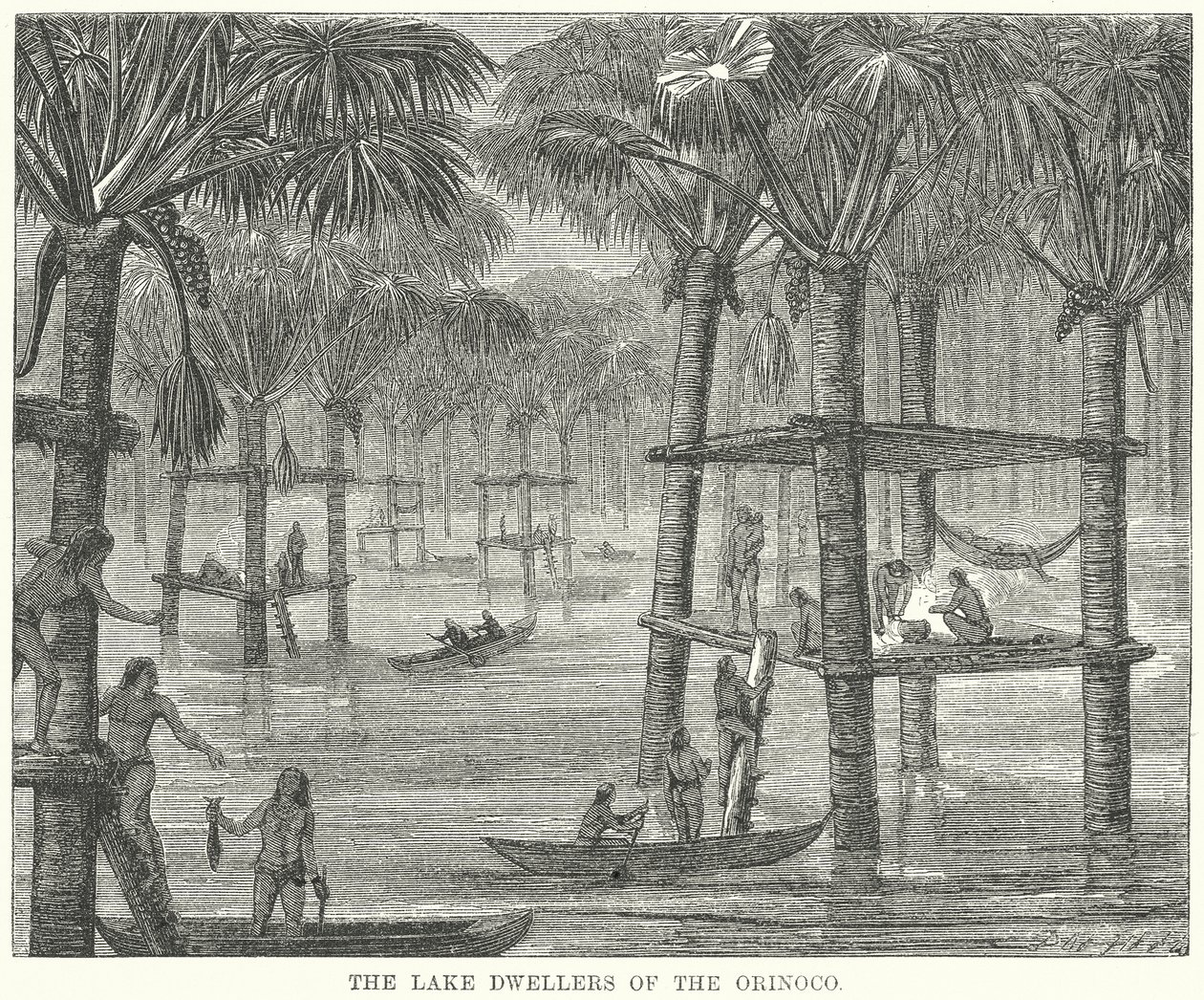 Die Pfahlbauer des Orinoco von English School