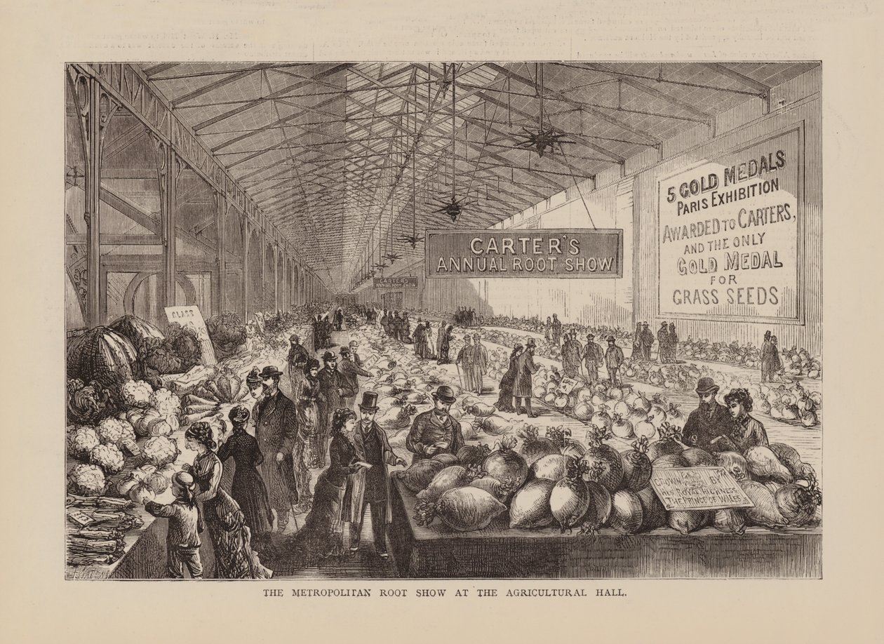 Die Metropolitane Wurzelschau in der Landwirtschaftshalle von English School