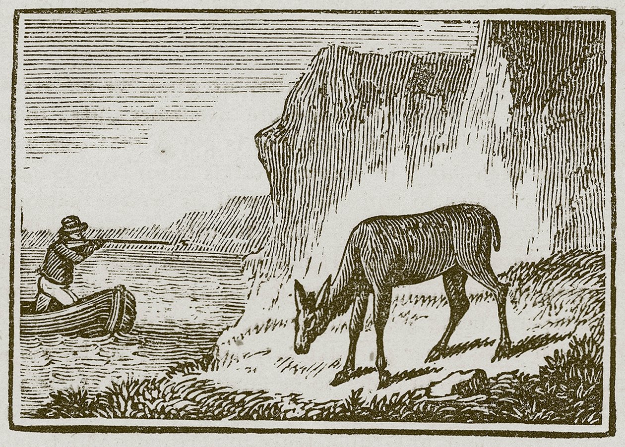 Die einäugige Hirschkuh von English School