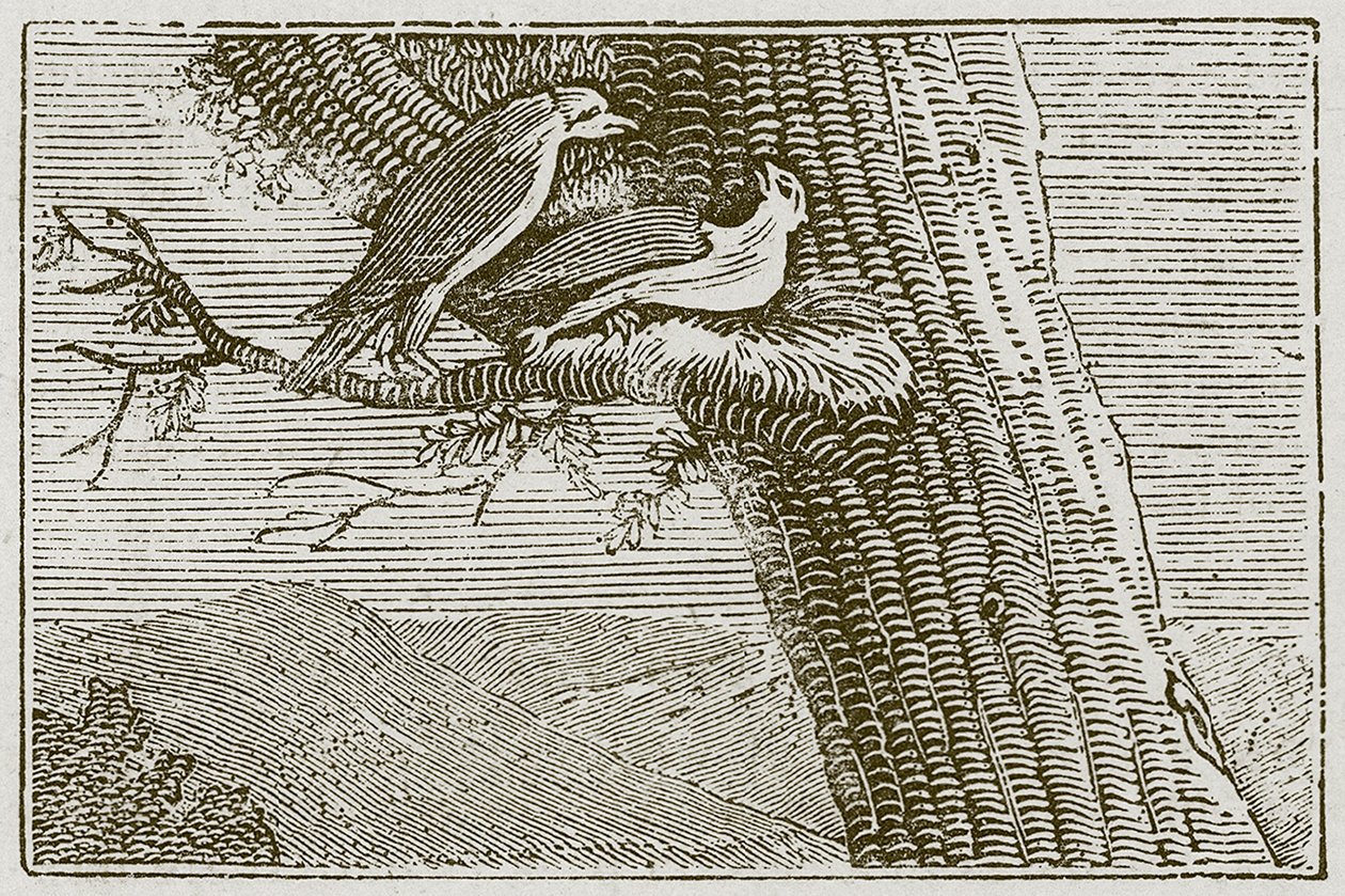 Der kranke Milan (Gravur) von English School