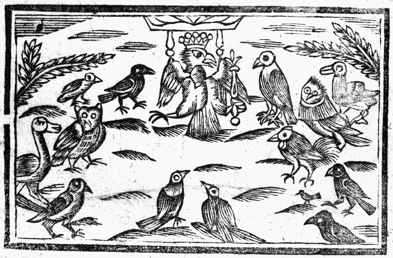 Die Waldchorsänger oder Die Harmonie der Vögel, eine Illustration aus 