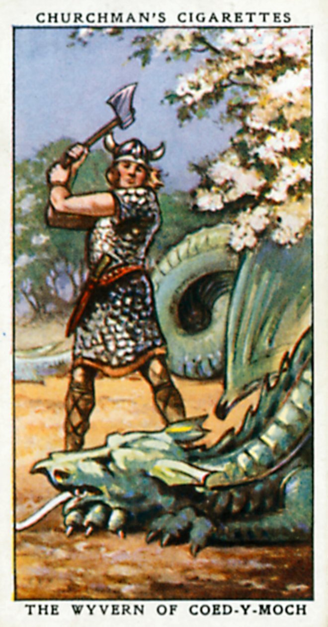 Der Wyvern von Coed-Y-Moch (Farblitho) von English School