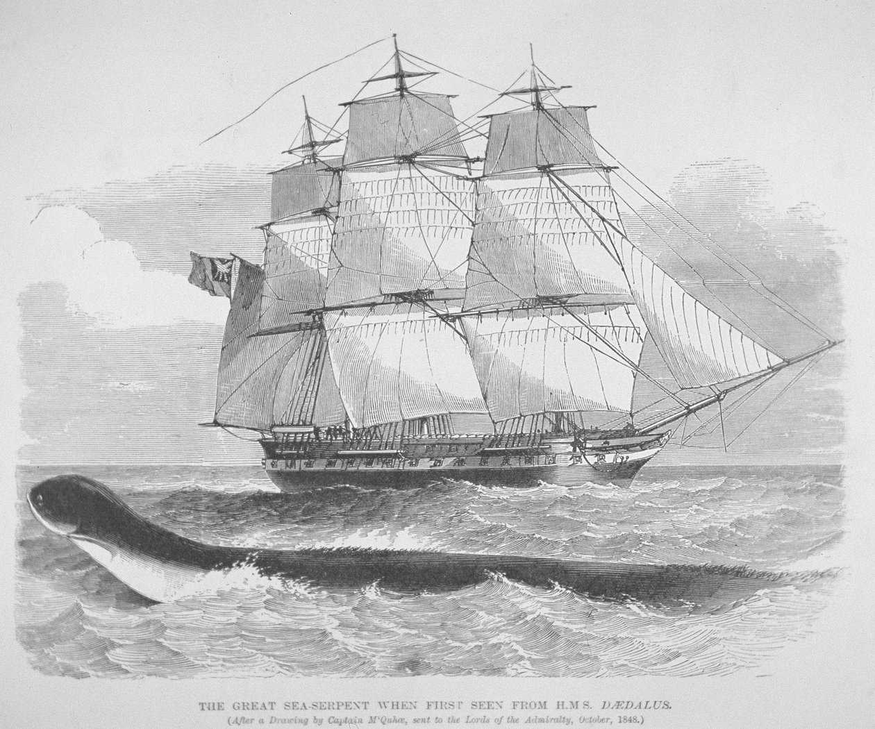 Die große Seeschlange, als sie 1848 zum ersten Mal von der HMS Daedalus gesehen wurde, ca. 1848 von English School