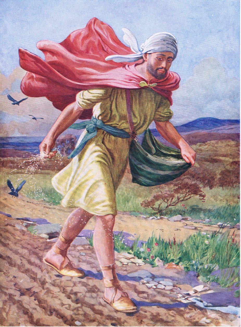 Der Sämann, aus dem Bibelbilderbuch, veröffentlicht von Thomas Nelson, ca. 1950 von English School
