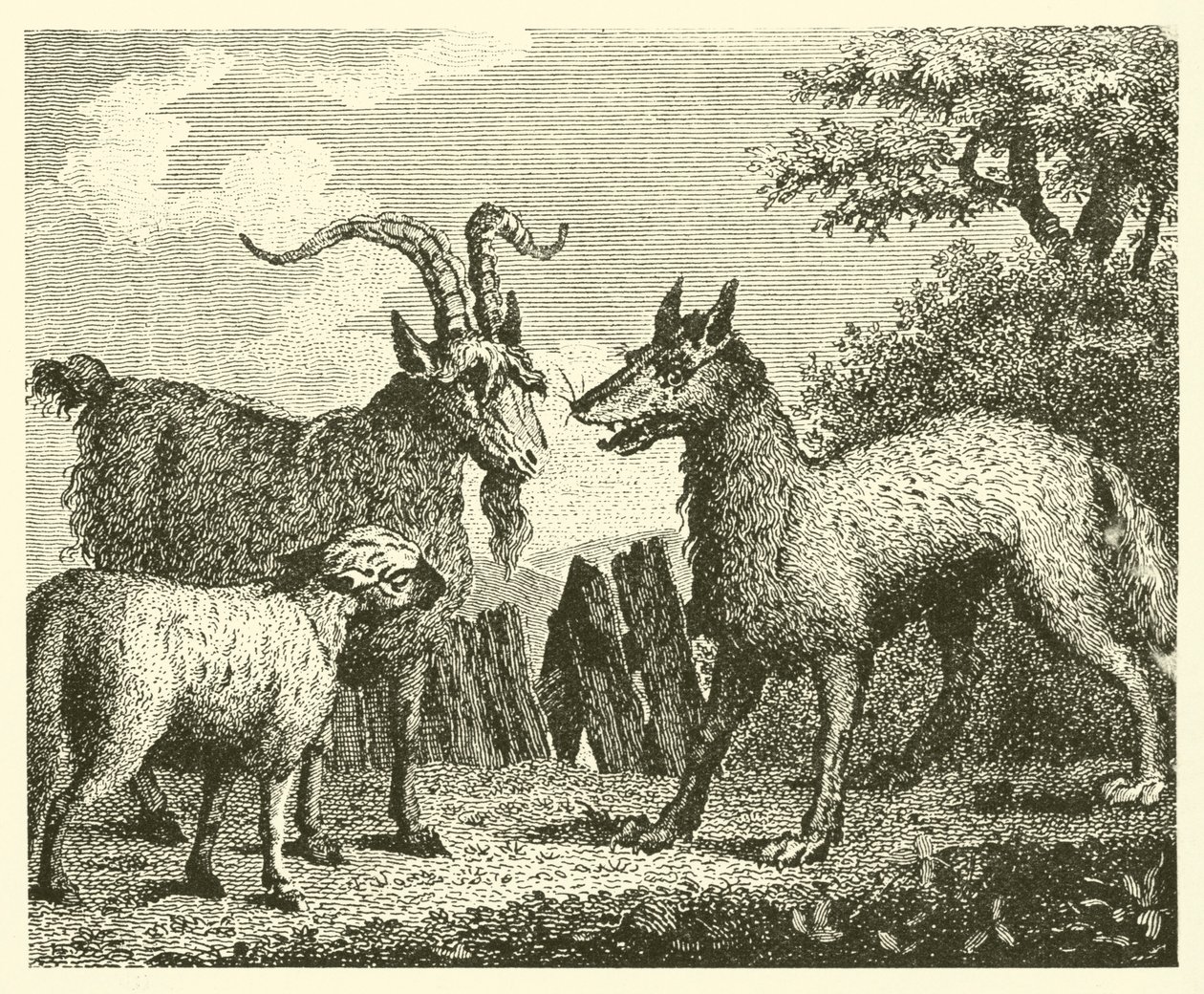 Der Wolf, das Lamm und die Ziege von English School