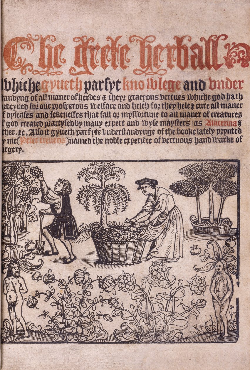 Titelblatt, das eine Gartenszene mit Figuren illustriert, 1529 von English School