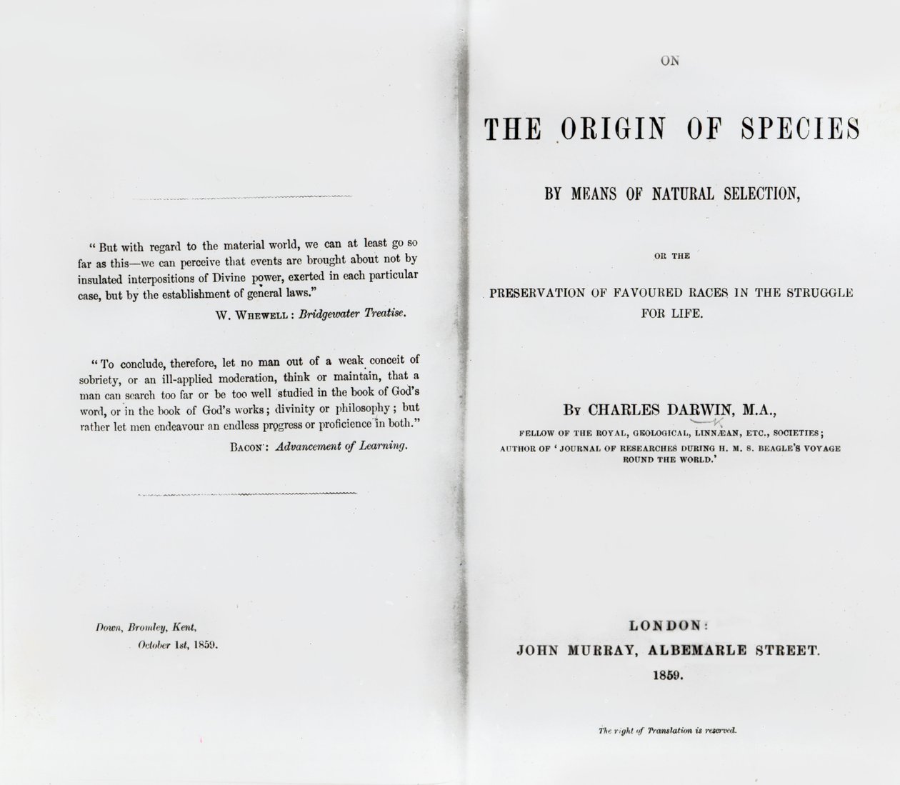 Titelseite zu On the Origin of Species von Charles Darwin, veröffentlicht 1859 von English School