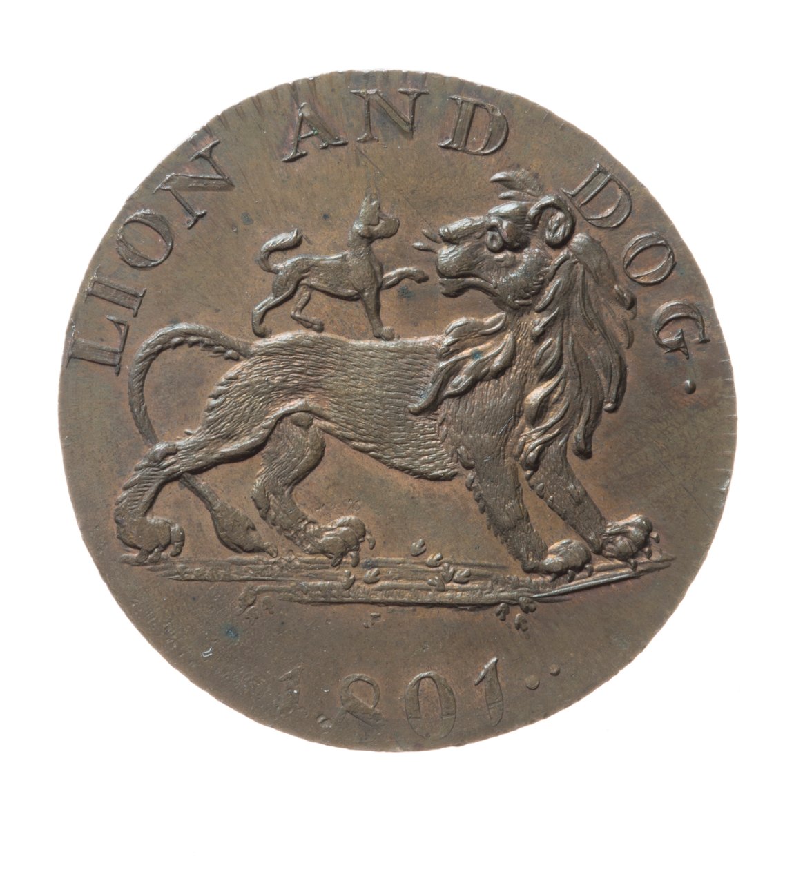 Token für Pidcock