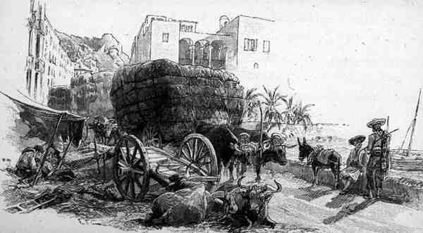 Wagen mit Espartogras, Almeria, Spanien, aus 