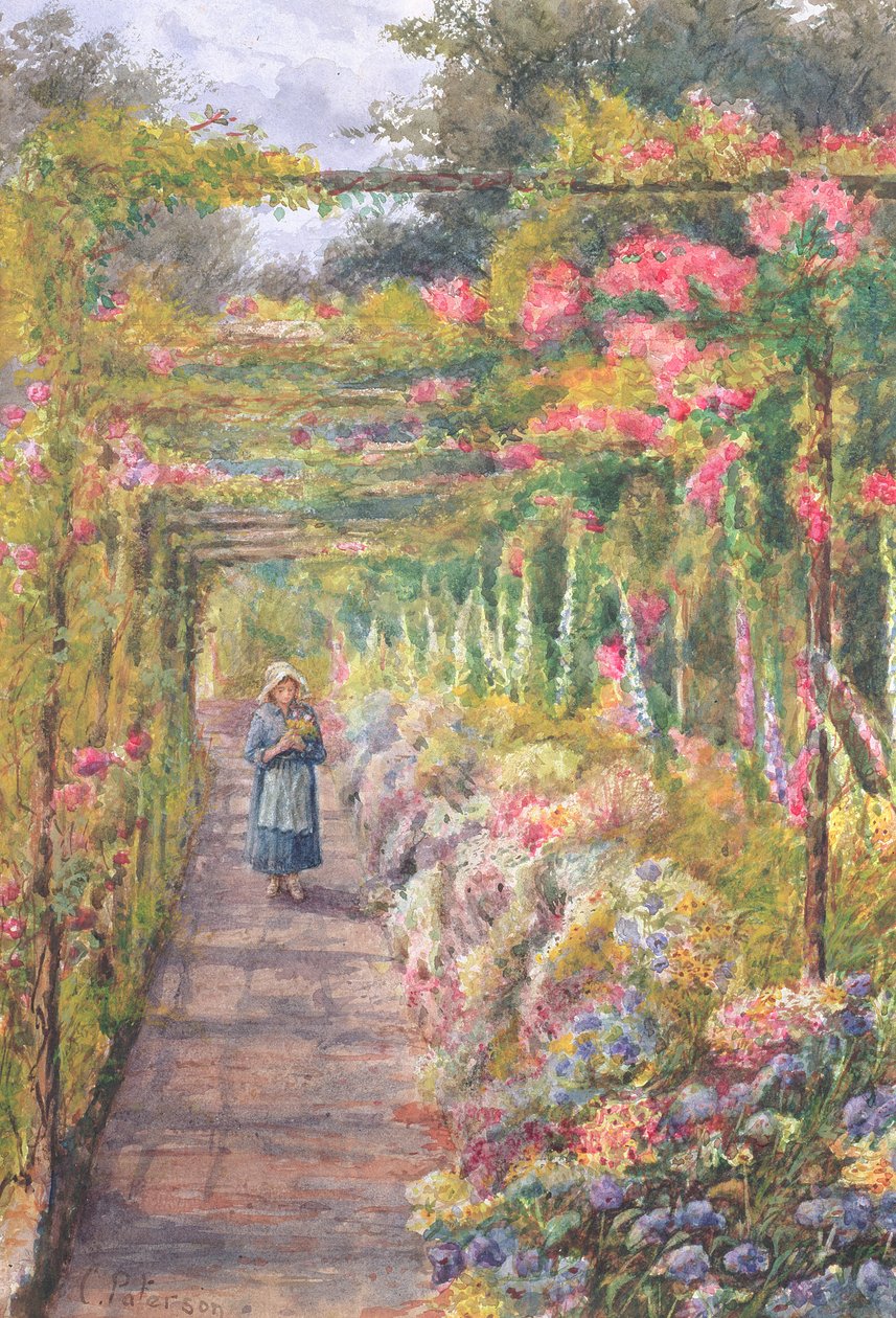 Junges Mädchen unter einer Rosenpergola spazierend von English School