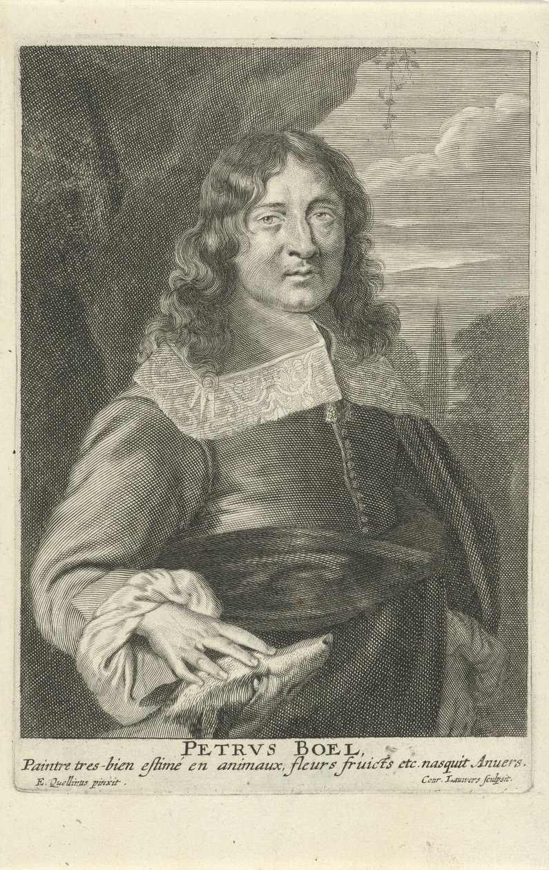 Peeter Boel, graviert von Conrad Lauwers, ca. 1649-62 von Erasmus (after) Quellinus