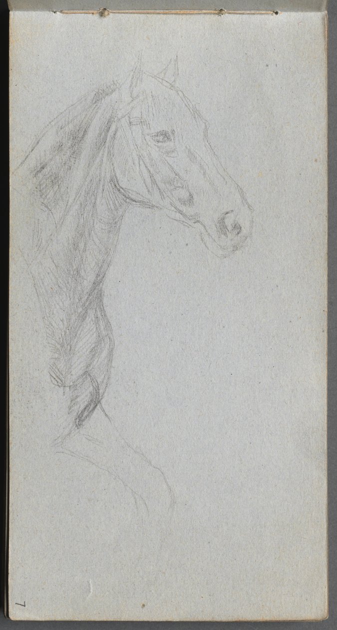 Skizzenbuch, Seite 07: Studie eines Pferdes von Jean Louis Ernest Meissonier