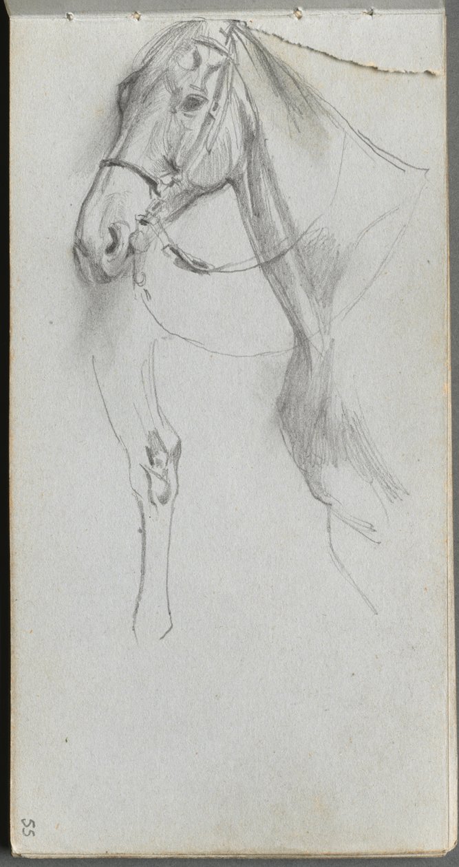 Skizzenbuch, Seite 55: Studie für ein Pferd von Jean-Louis Ernest Meissonier