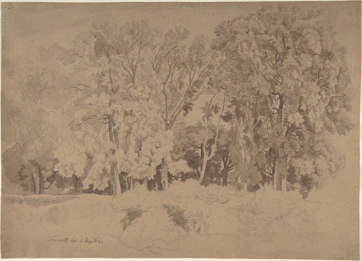 Waldrand bei Frascati von Ernst Fries