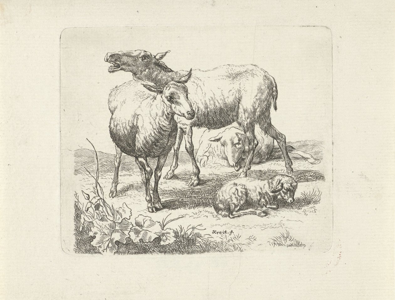 Drei Schafe und ein Lamm auf einer Weide von Ernst Ludwig Creite